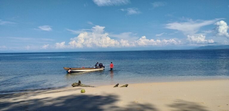 Fakta Menarik Pulau Papua