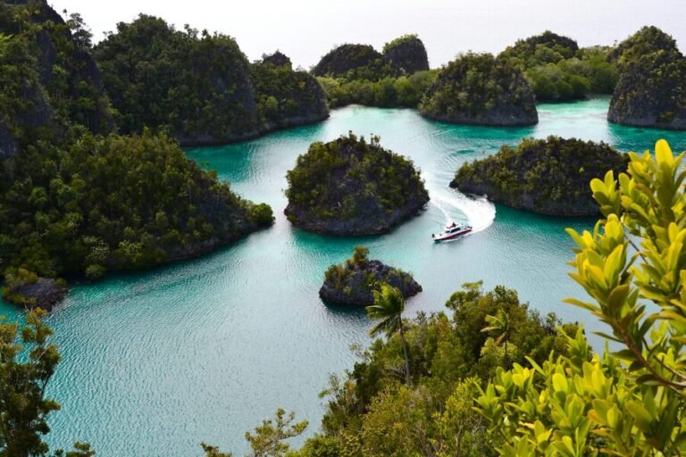 raja ampat tambang nikel