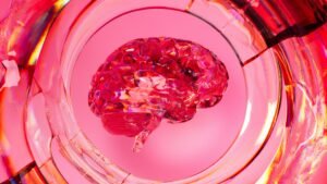 Brain Rot
