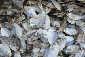Ikan Kecil