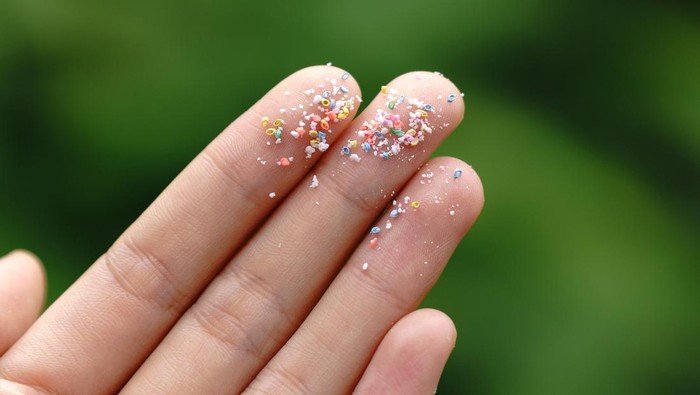 Organ Tubuh Manusia Ternyata Tercemar Mikroplastik