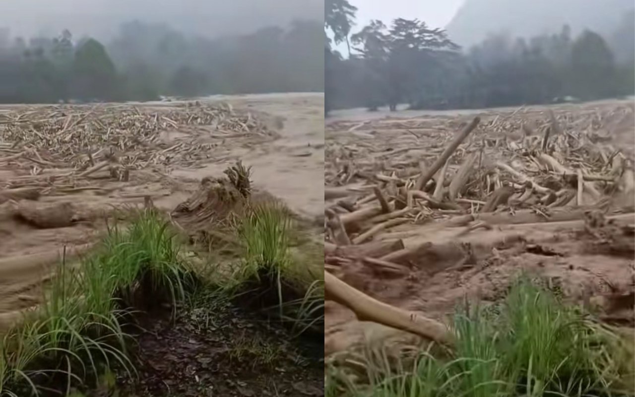Kayu Terbawa Banjir Sumatera, Ada Kemungkinan Praktik Ilegal