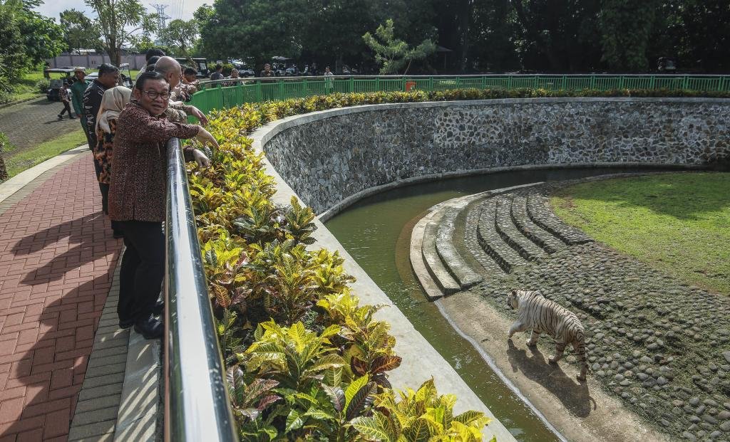 Pramono Anung Pastikan Sri Deli Sehat dan Gemuk di Ragunan
