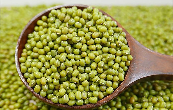 Kacang Hijau Ternyata Efektif untuk Cegah Terjadi Stunting