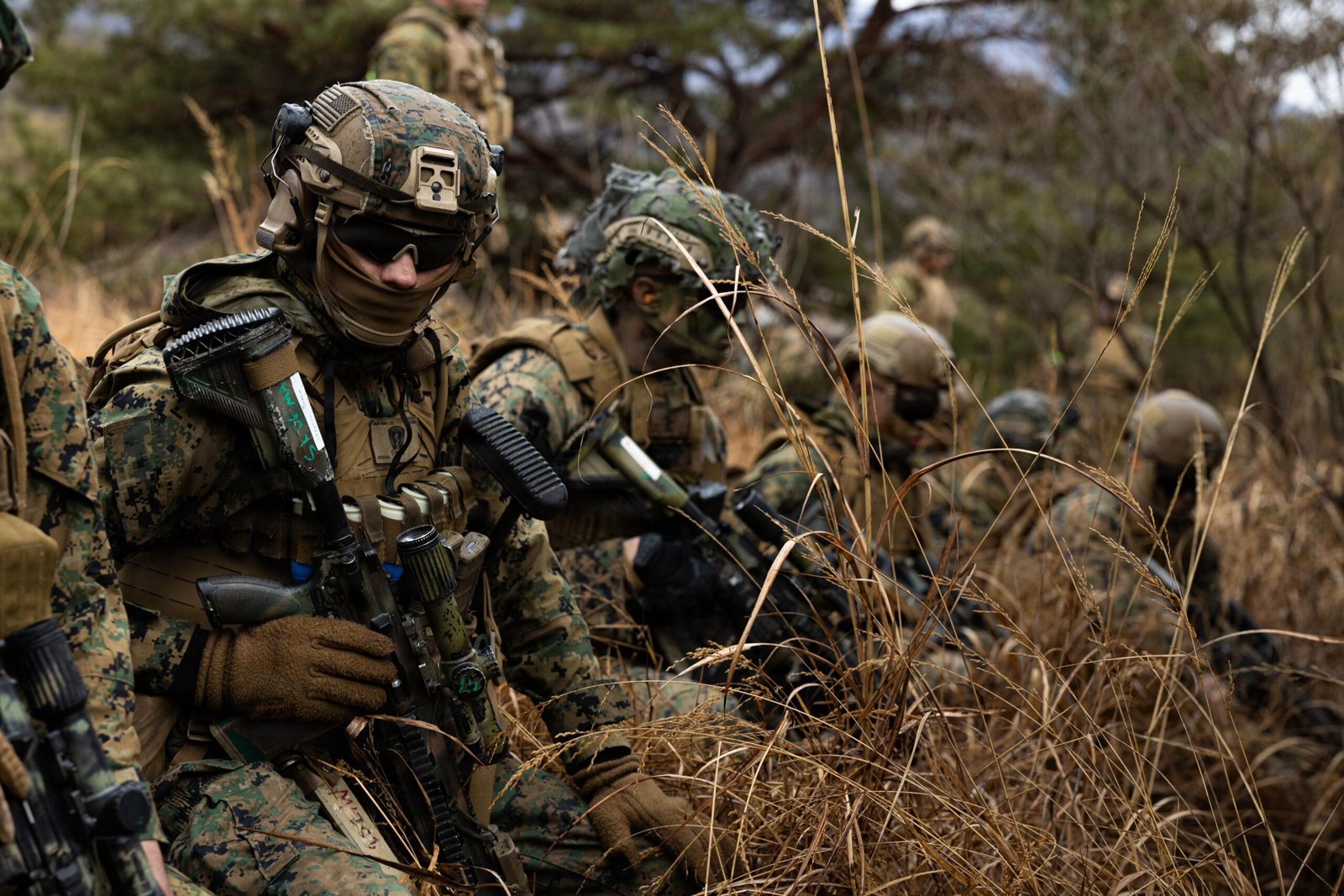 Trump Siap Kerahkan 4.000 Pasukan Darat AS untuk Invasi Iran